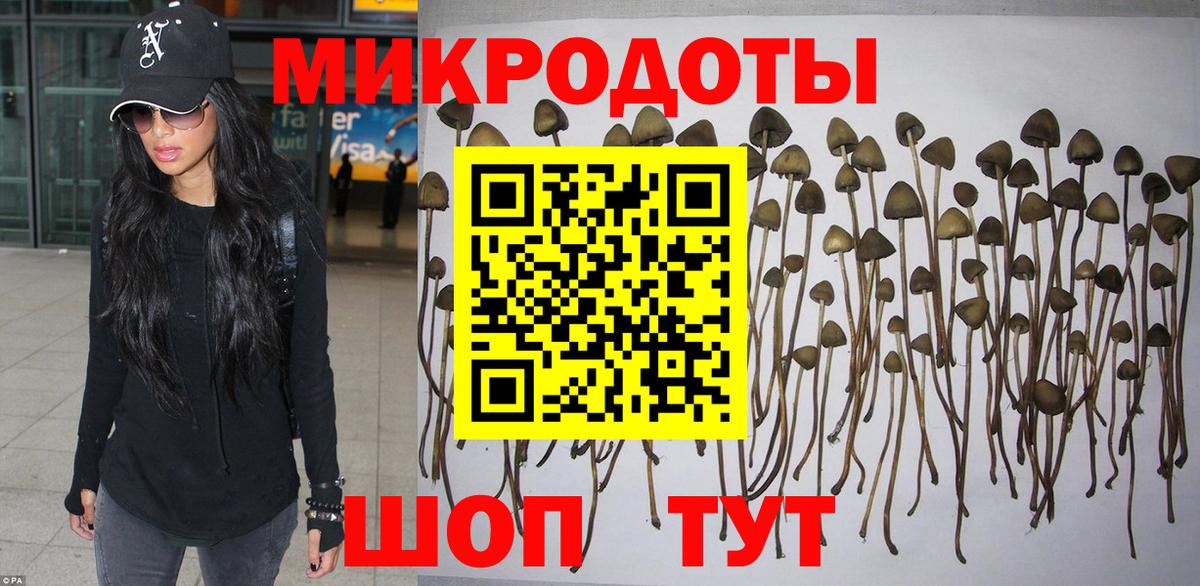 Светлоград  магазин  наркотиков  Вход с VPN  Галлюциногенные грибы мухоморы 